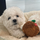 Astro..naut's avatar
