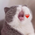 王玉茹's avatar